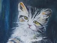 Paolo Di Giovine Paolo Di Giovine