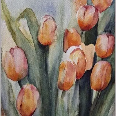 Tulipani