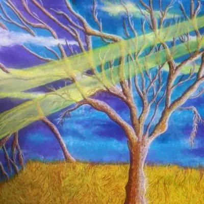 Un inverno particolare