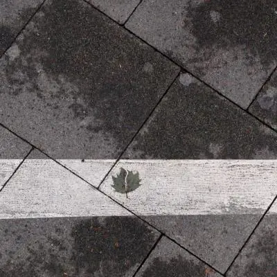 Geometrie di Asfalto