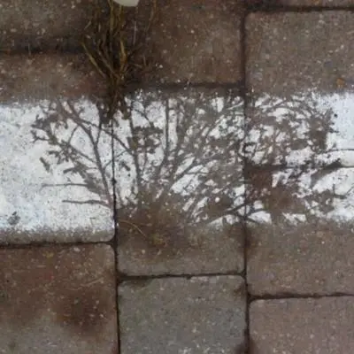 Geometrie di Asfalto